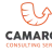 camaronconsulting